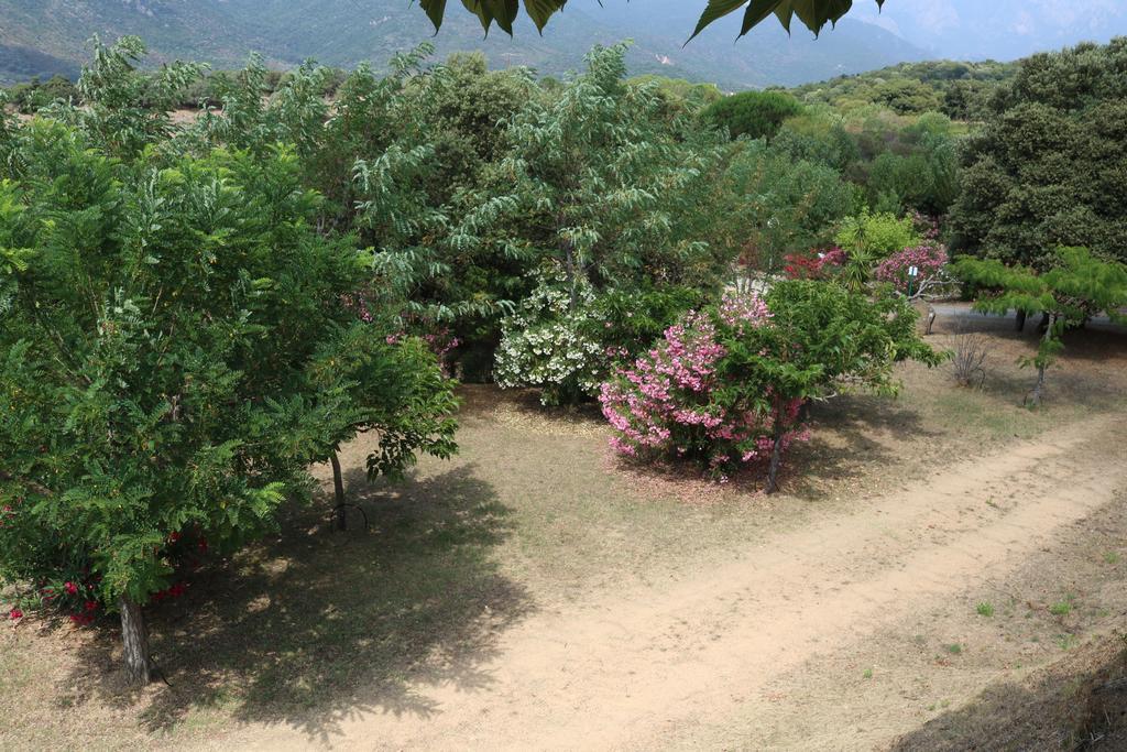 Camping Les Couchants Casaglione المظهر الخارجي الصورة