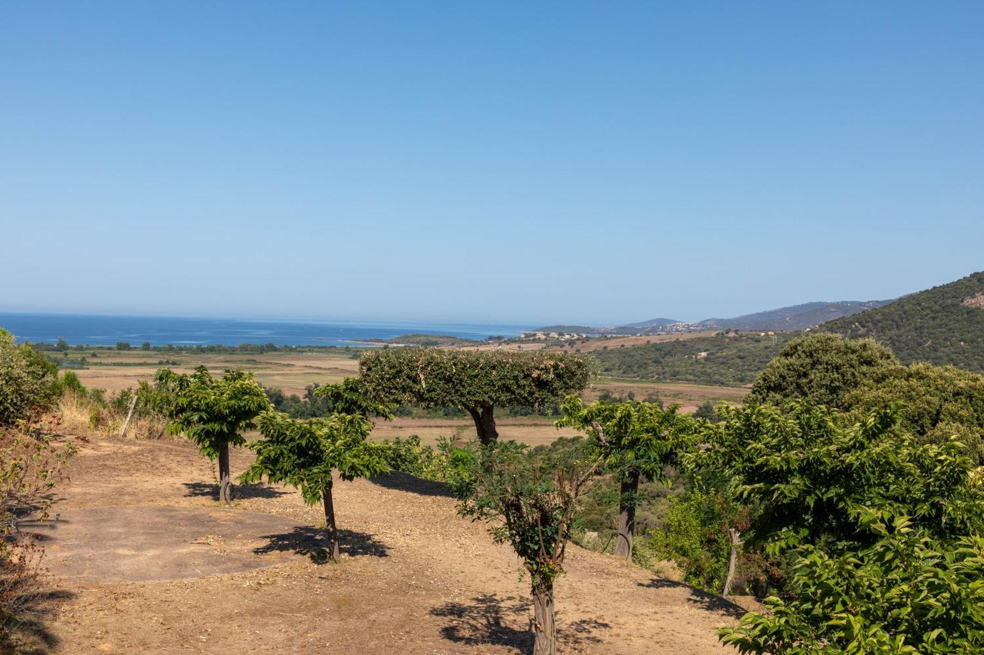 Camping Les Couchants Casaglione المظهر الخارجي الصورة